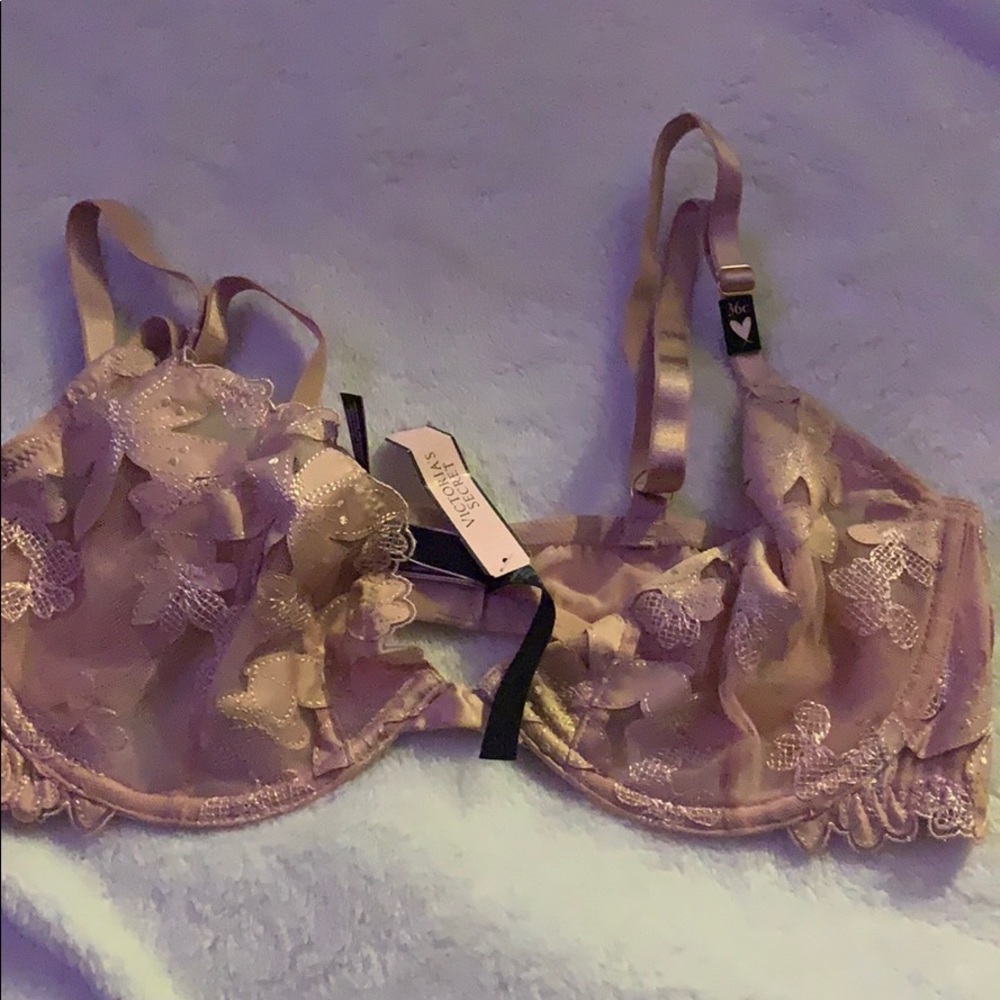 36C VS BRA